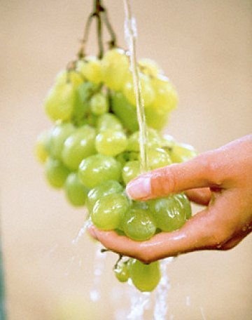 Гроздето е много лесно за ядене и носи щастие. Чудесно. Снимка: СВ