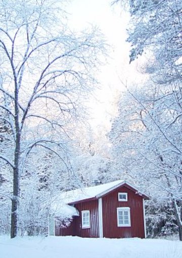Какво друго да правиш в шведксата снежна зима, освен... да четеш образователни книги на топло. Снимка: sxc