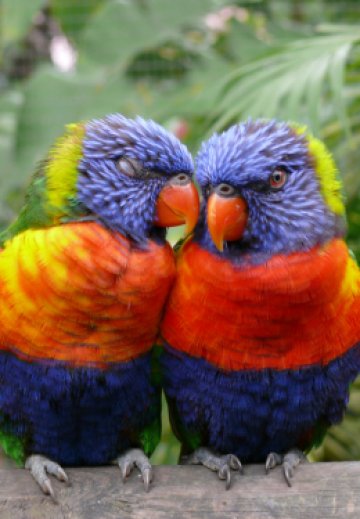 Повече цвят трябва да придадете на връзката си, ако нещо закуца. Снимка: SXC