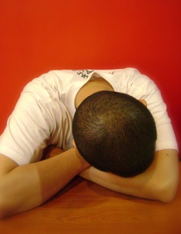 Понякога и те имат нужда само от прегръдка. Пет минути по-късно - от всичко останало. Снимка: SXC