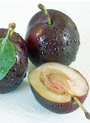 Сочни сини сливи - те са един от по-едрите плодове с най-нисък гликемичен индекс. Снимка: sxc