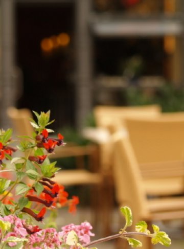 Излизайте на разходка на чист въздух. Освежа. Снимка: SXC