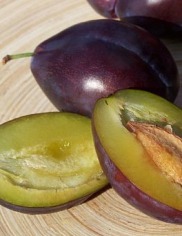 Сините сливи ще се окажат ужасно полезни. Снимка: sxc