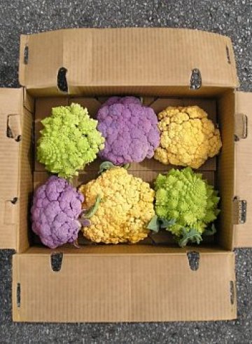 карфиолът не случайно се нарича цветно зеле - може да бъде и доста пъстър. При всички случаи обаче е полезен. Снимка: sxc