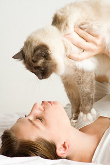 Малките съкровища точно сега започват да сменят козината си. Снимка: dreamstime