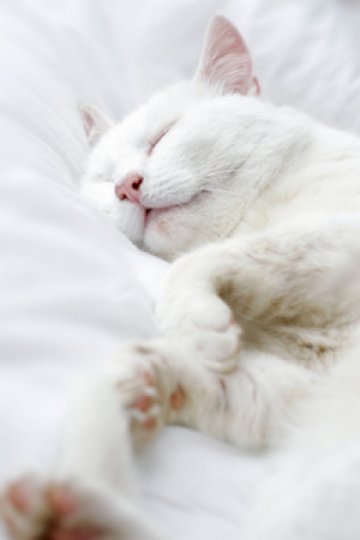 Късното ставане е задължително за успешния уикенд. Снимка: Dreamstime