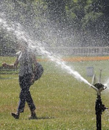 На нас фестивал в парка, при това в центъра на София, ни звучи примамливо. Снимка: Булфото