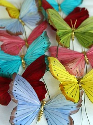 Пеперуди, накацали в дома ви, ще донесат лятото върху крилете си. Снимки: AMY, Лора Ашли, Арън Тили, Рокет Джордж