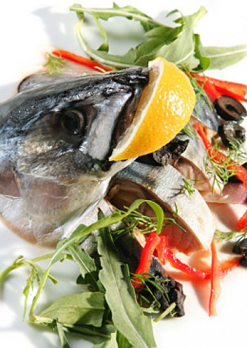 Скумрията е една от най-вкусните риби. Снимка:Dreamstime