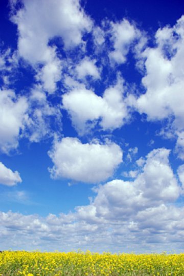 Всичко хубаво на този свят е синьо, казват... Снимки: Dreamstime, Tialoto.bg