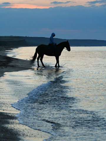 Романтично е, няма спор. Снимка: Dreamstime