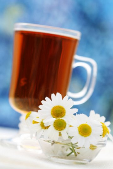 Чай от лайка, много е полезно. Снимка: Drea