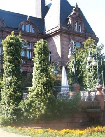 Прекрасният вариант на &quot;Студентски град&quot;. Снимки: Ани Радева