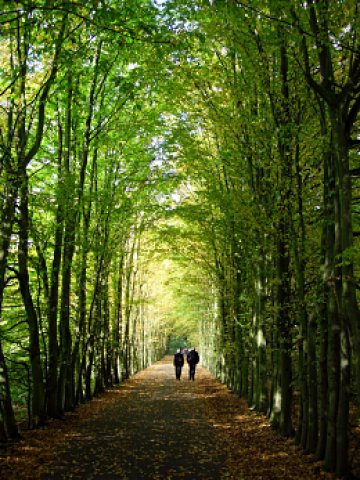 На такова място няма как да сте агресивни. Снимка: SXC