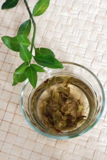 Напитка - шампион. Снимка: Dreamstime