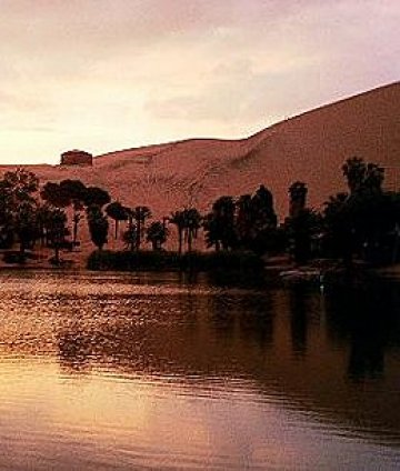 Оазисен пейзаж. Снимка: Travel