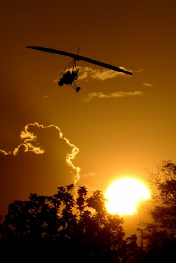 Няма два еднакви залеза. Снимка: sxc