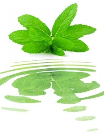 Вкус на свежо по лицето. Снимка: Dreamstime