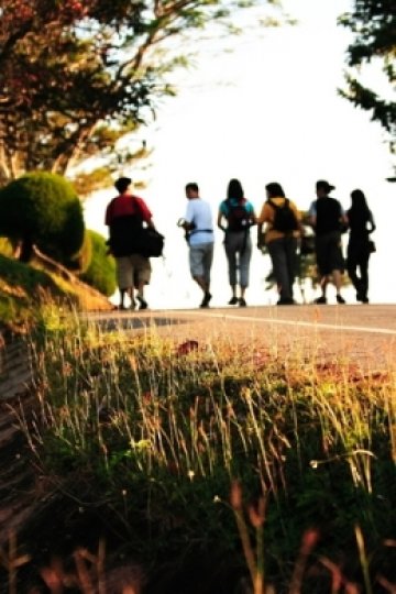 Снимка: Dreamstime