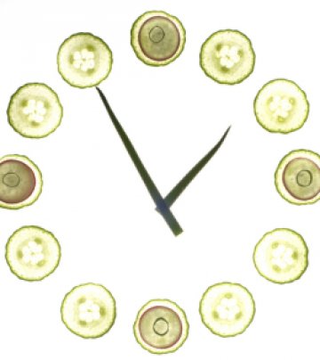 Храненето трябва да е на точен интервал от време. Снимка: Dreamstime