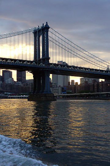 Велики и високи. Снимки: sxc