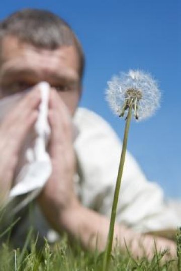 Снимка: Dreamstime