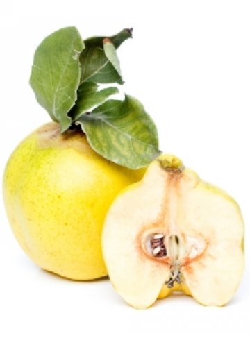 Снимка: Dreamstime