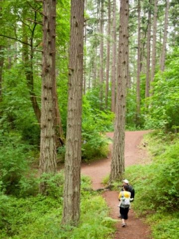 Снимка: Dreamstime