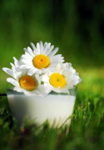 Снимка: Dreamstime