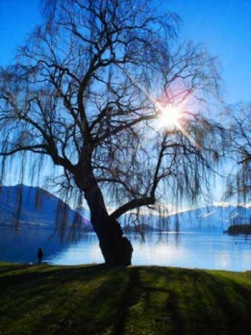 Снимка: massive (trekearth)