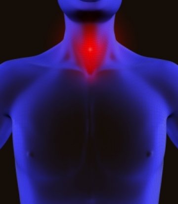 Снимка: Dreamstime