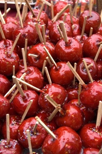 Снимка: Dreamstime