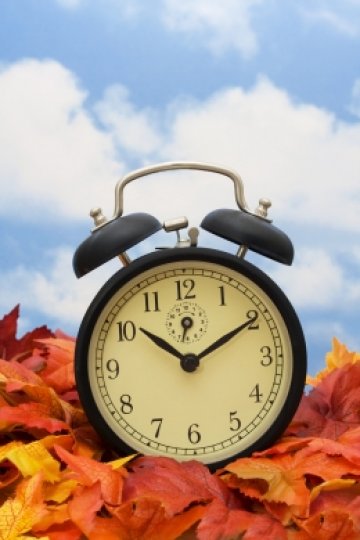 Снимка: Dreamstime