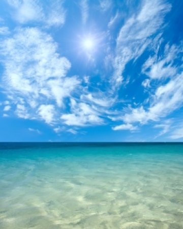 Снимка: Dreamstime