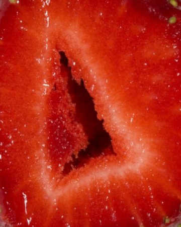 Открийте приликата...Снимка: Dreamstime