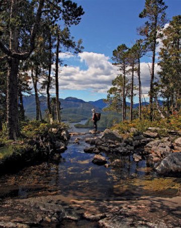 Снимки: Travel