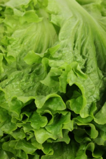 Снимка: Dreamstime