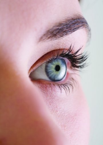 Снимка: Biotrue