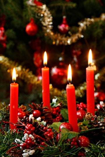 Снимка: Dreamstime