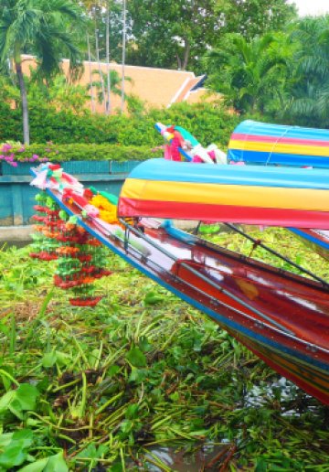 Пръстър и усмихнат. Снимки: Авторката