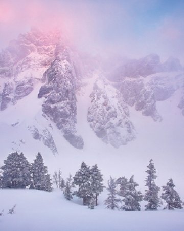 Снимки: www.marcadamus.com