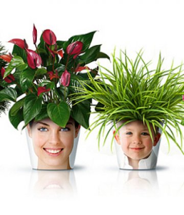 Снимки: www.good.kz