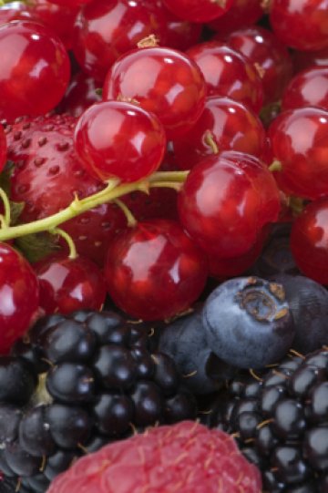 Снимка: Dreamstime