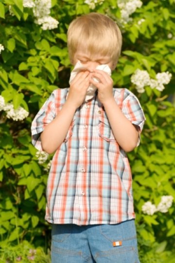 Снимка: Dreamstime