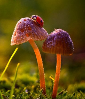 Снимки: Magdalena Wasiczek