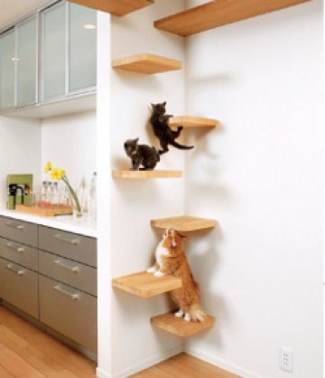 Снимки: asahi-kasei.co.jp