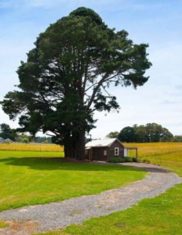 Снимки: desiretoinspire