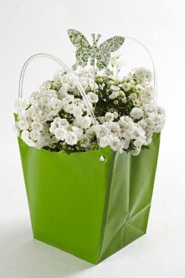 Снимка: Dreamstime