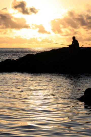 Снимка: Dreamstime