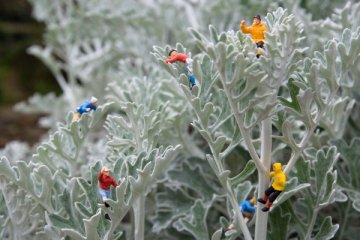 Снимка:wonderstube.com